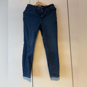 Everlane Authentic Stretch High-Rise Skinny Ankle Jean